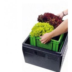 Groente & fruit Thermobox